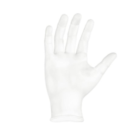 Synmax Vinyl Gloves | 100 Count
